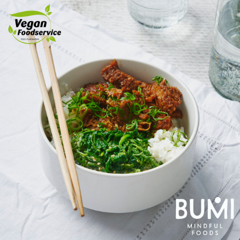 BUMI Natural Pulled Seitan teriyaki with sesame spinach and rice
